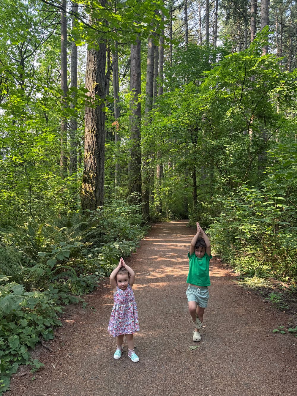 On the trail.